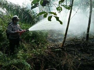Kapolres Tinjau Karlahut di Desa Sungai Rabit