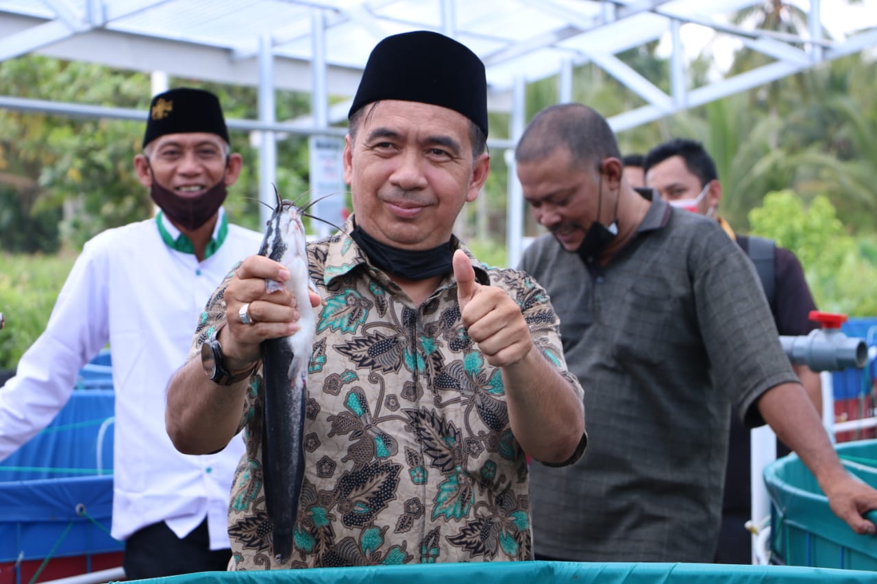 Ferryandi Panen Ikan Hasil Budidaya Bioflok di Ponpes Syekh Abdurrahman Siddiq II