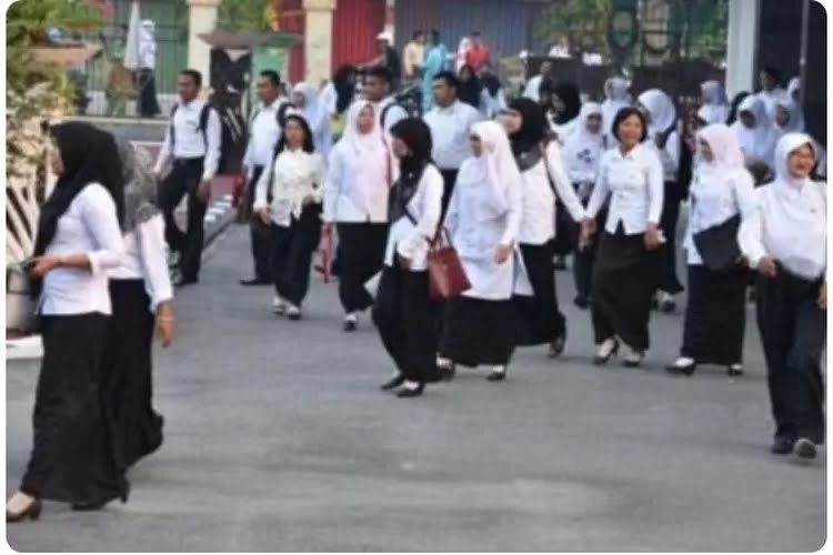 BKN Setujui Usulan Penetapan 2.132 NIP PPPK Guru Pemprov Riau, Sisanya dalam Proses