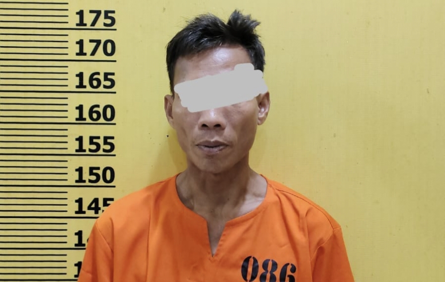 Edarkan Sabu di Langgam Pelalawan, Pria Asal Sumut Dibekuk Polisi