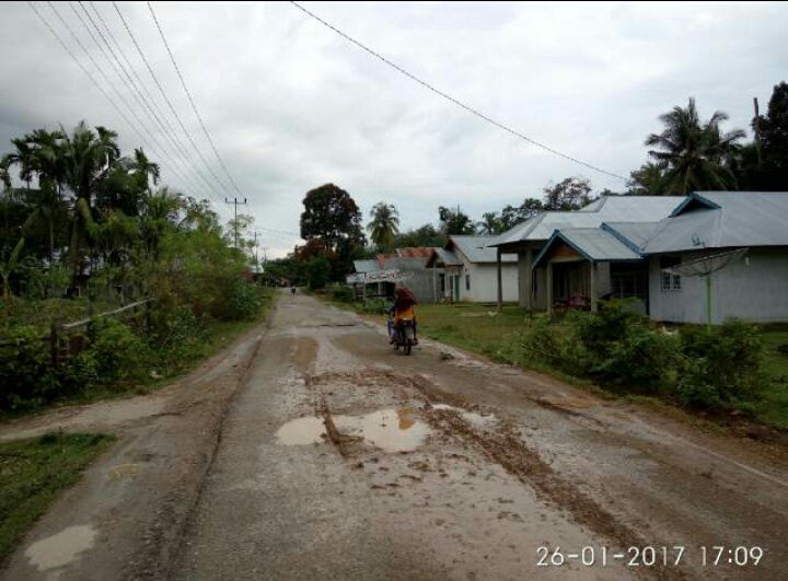 Dijejali Lumpur Dan Berlobang, Warga Simandolak Berharap MH Perbaiki Jalan
