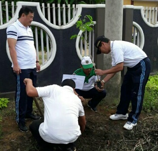 Bupati H.Mursini Dan Wabub H.Halim Tanam 1.800 Pohon di Sepanjang Jalan Proklamasi