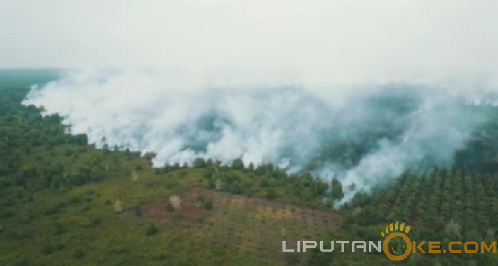 Waspada Karhutla Jelang Oktober, BPBD Riau Gerak Cepat Padamkan Daerah Terdeteksi Titik Api