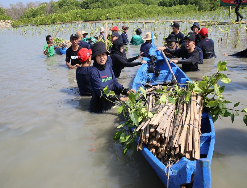 Melanjutkan Program Carbon Offset, Inisiatif Telkomsel Jaga Bumi Tanam 15.060 Pohon di Kawasan Hutan Mangrove Indonesia