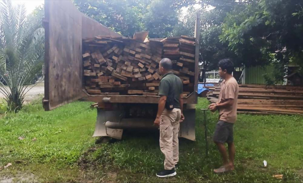 Polhut Tangkap Pelaku Penebang Kayu di Kawasan TNTB