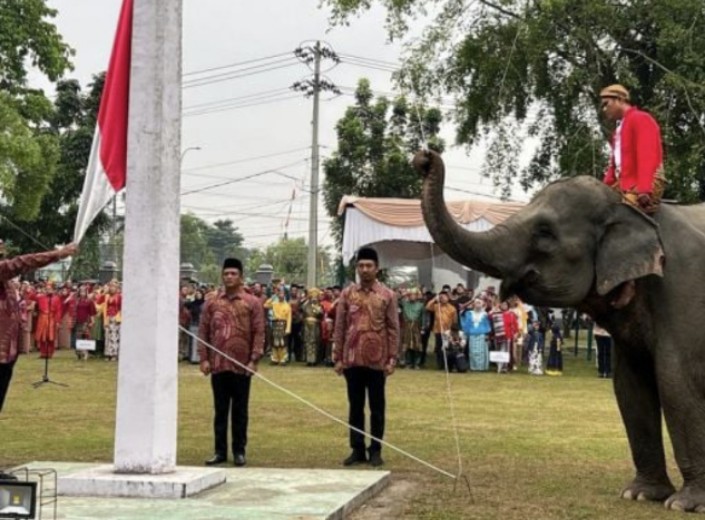 Di Riau, Gajah Jadi Pasukan Pengibar Bendera di Upacara HUT RI 17 Agustus