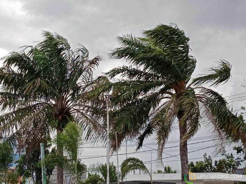 Masyarakat Riau Diminta Waspadai Cuaca Ekstrem, Hujan Deras Disertai Petir