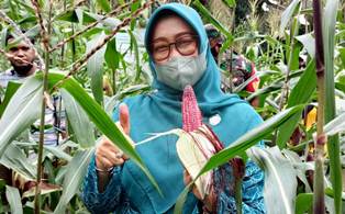 Ketua PKK Siak Apresiasi KWT Turut Jaga Ketahanan Pangan