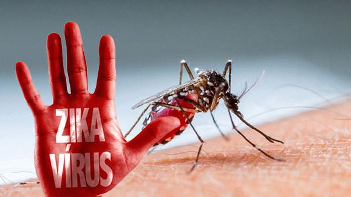 Pekanbaru Waspada Virus Zika