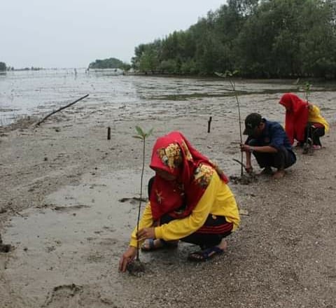 Selamatkan Kawasan Pesisir, SMK I Kempas Bersama Aktivis Lingkungan dan PWI Inhil Tanam Bibit Bakau