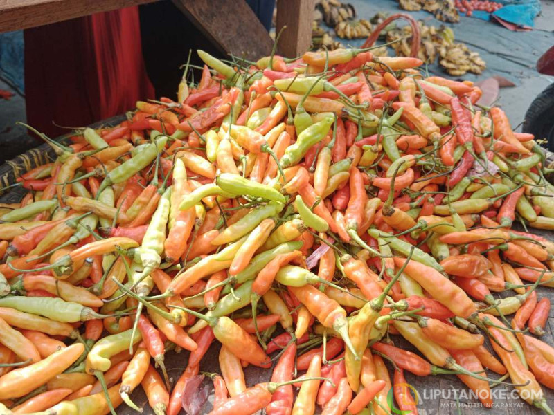 Jelang Nataru 2025, Harga Bahan Pokok di Pasar Tradisional Cenderung Stabil