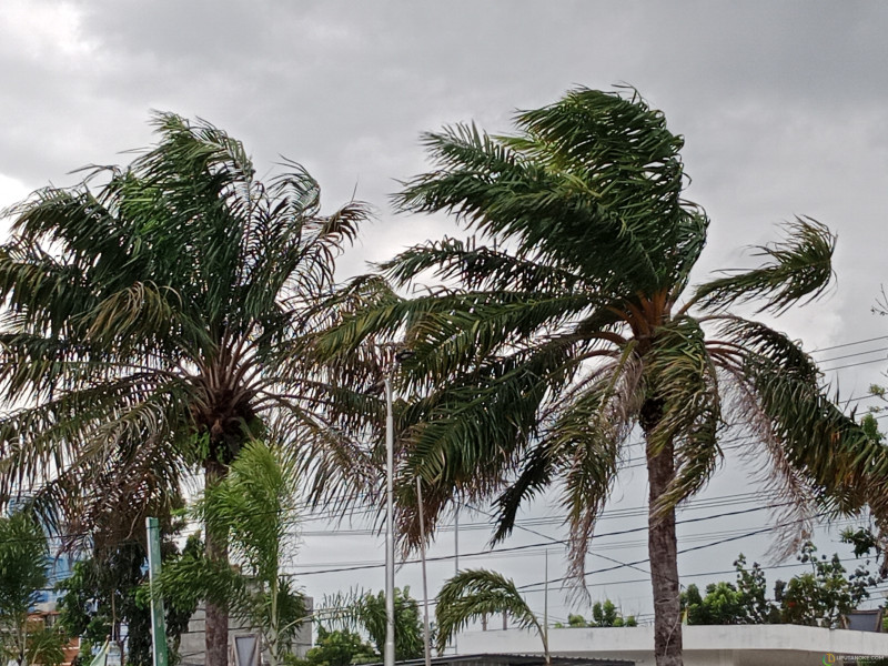 Waspada! Tujuh Wilayah di Riau Berpotensi Dilanda Cuaca Ekstrim