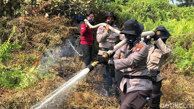 Polda Riau Tangkap Sembilan Pelaku Karhutla