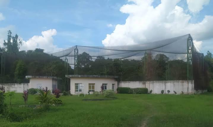 Ungkap Dugaan  Korupsi Taman Burung Sungai Mempura,  Kejati Riau Periksa Camat Siak