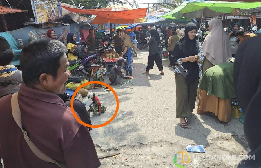 Atraksi Topeng Monyet, Eksploitasi atau Hiburan?