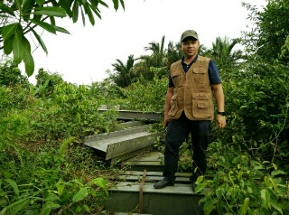 Astaga, Jembatan Sungai Empat dan Belantara di Inhil Mangkrak Penuh Semak Belukar