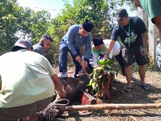 Alfedri-Husni Mirza Ikut Kurban Satu ekor Sapi di DPW PKB Riau