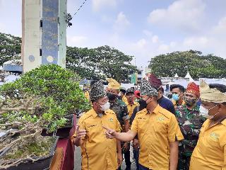Kontes Pesona Bonsai Rengat Riau Resmi Dibuka, Lokal Terasa Nasional 