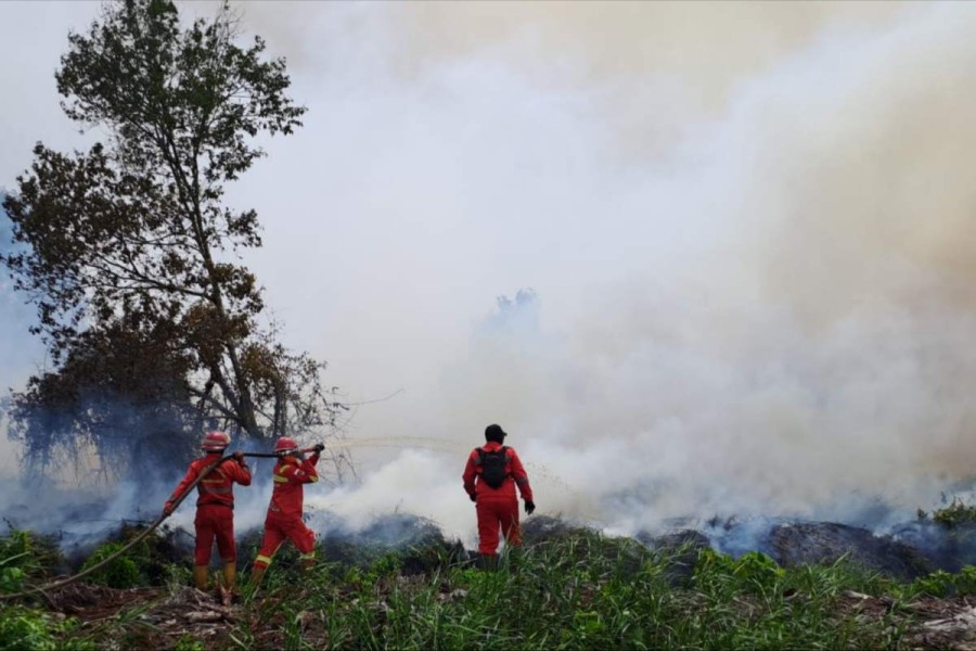 Karhutla Mengganas di Riau, Langit Diselimuti Asap