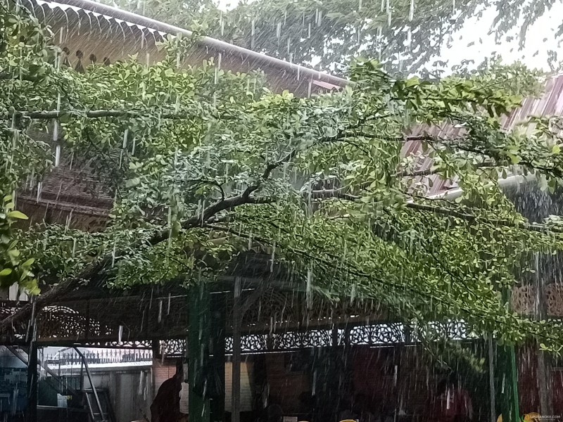 Sejumlah Kabupaten/Kota di Riau Berpotensi Diguyur Hujan Sepanjang Hari