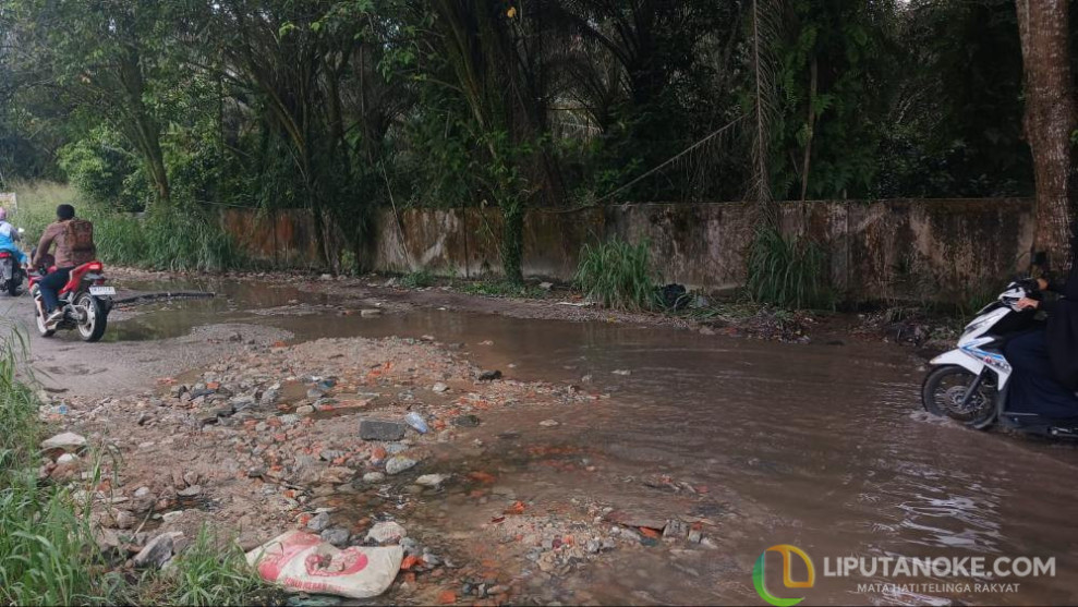 Nasib Jalan Bangau Sakti Pekanbaru: Penuh Lubang, Digenangi Air Hingga Sampah Berserakan