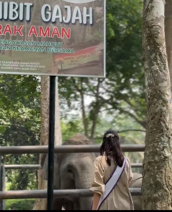 Semangat Hari Pelanggan Nasional, PLN Nusantara Power UP Tenayan Perkuat Komitmen Konservasi Gajah Sumatera