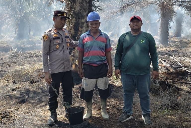 Polres Rohil Amankan Terduga Pelaku Karhutla