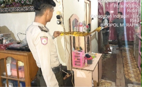 Setelah Bunuh Isteri, Seorang Suami di Inhil Gantung Diri