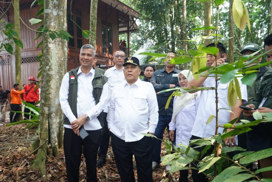 Riau Bangun 2.077 Sekat Kanal Pulihkan Gambut, Masyarakat Jadi Garda Terdepan Penjagaan