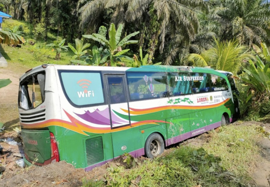 Rem Mendadak! Bus Lorena Hantam Pohon Pisang di Lintas Timur, Ibu dan Anak Tewas