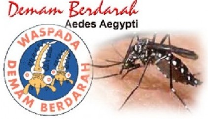 September, Tercatat 22 Kasus DBD di Kecamatan Bengkalis