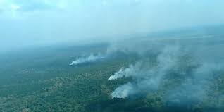 25 Hektare Lahan Terbakar di Rokan IV Koto Rohul