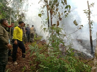 Dengan Peralatan Sederhana, Kades Air Jernih & Puluhan Satpol PP Inhu Padamkan Api