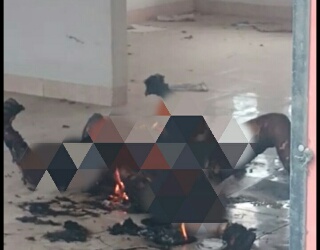 Warga Parit Indah Pekanbaru Dibuat Geger Aksi Nekat Bakar Diri Hingga Tewas