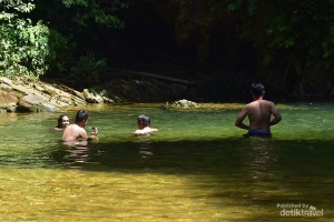 Berkunjung ke Kuansing, Jangan Lewatkan Destinasi  Pesona Air Terjun Dangku, Ini Lokasinya!