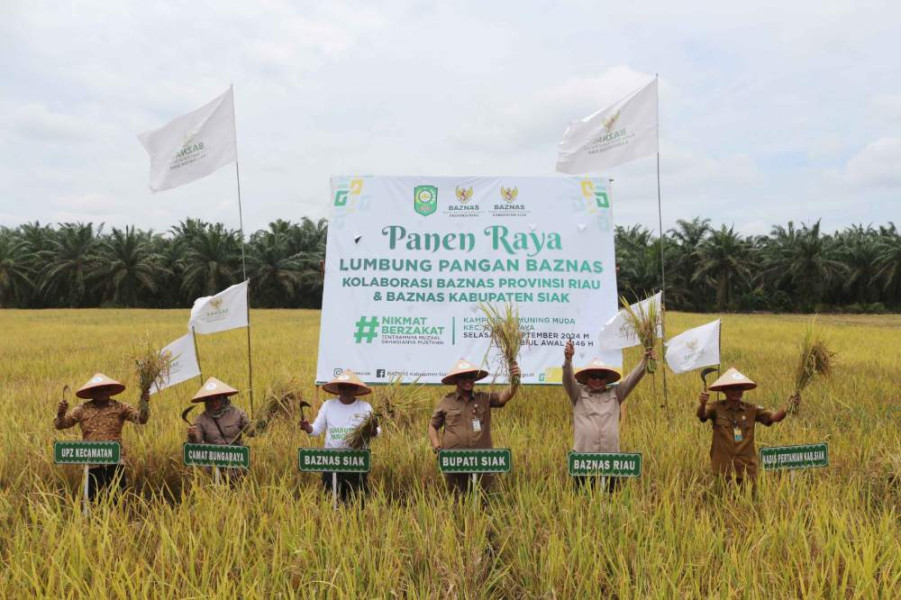 Dukung Program Ketahanan Pangan, BAZNAS Kabupaten Siak Panen Raya