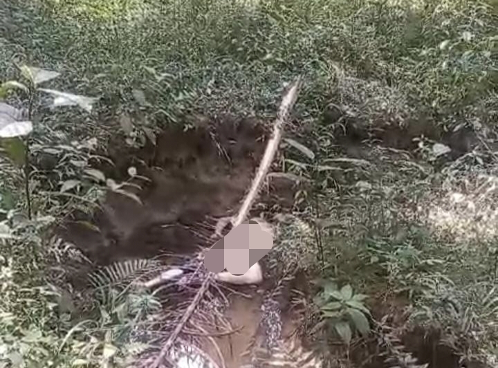 Warga di Inhu Temukan Mayat Tanpa Identitas di Kebun Sawit