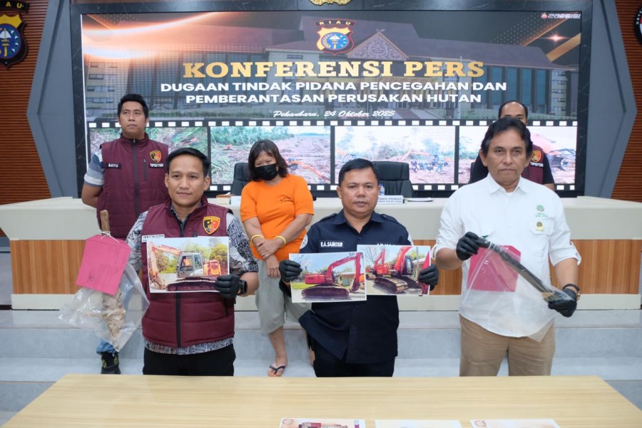 Polda Riau Tangkap Perempuan Otak Pelaku Perambah Hutan Kawasan Konservasi