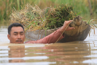 Hasil Riset ADB Sebut 22 Juta Penduduk RI Kelaparan