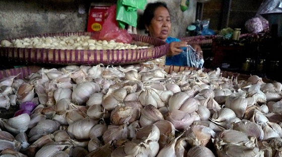 Harga Bawang Putih Turun Drastis