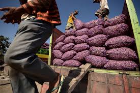 5.600 Ton Bawang Merah Indonesia Diekspor ke Thailand 