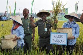 Dinas Pertanian Bengkalis Perkuat Kelembagaan Petani