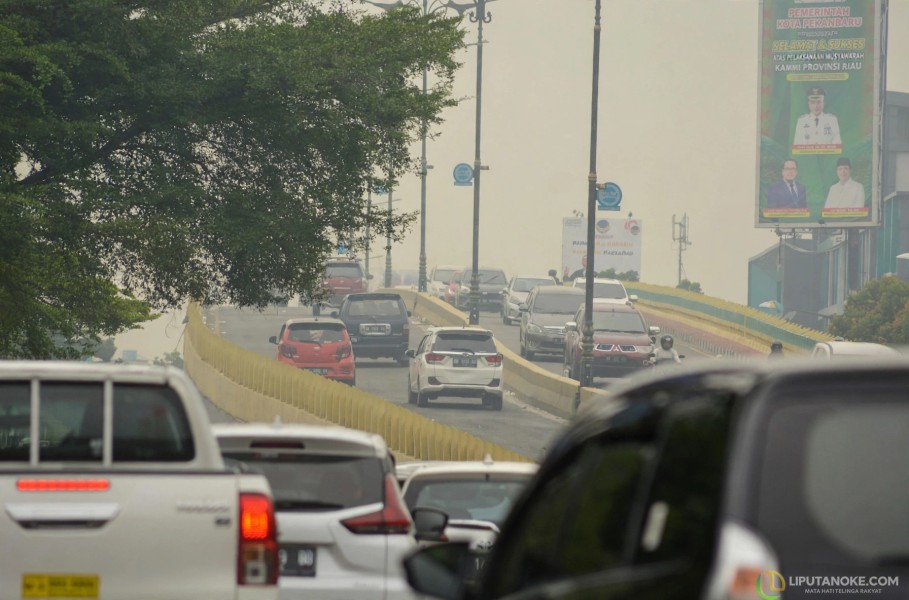 BMKG Sebut Kabut Asap Kepung Sumatera-Kalimantan, Udara Pekanbaru Masuk Kategori Tidak Sehat