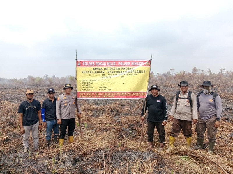 Lahan 30 Hektare Terbakar akibat Puntung Rokok, Buruh Tani di Rohil Jadi Tersangka