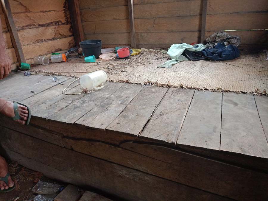 Seram! Kaki Petani Digigit Harimau Saat Tidur di Pondok