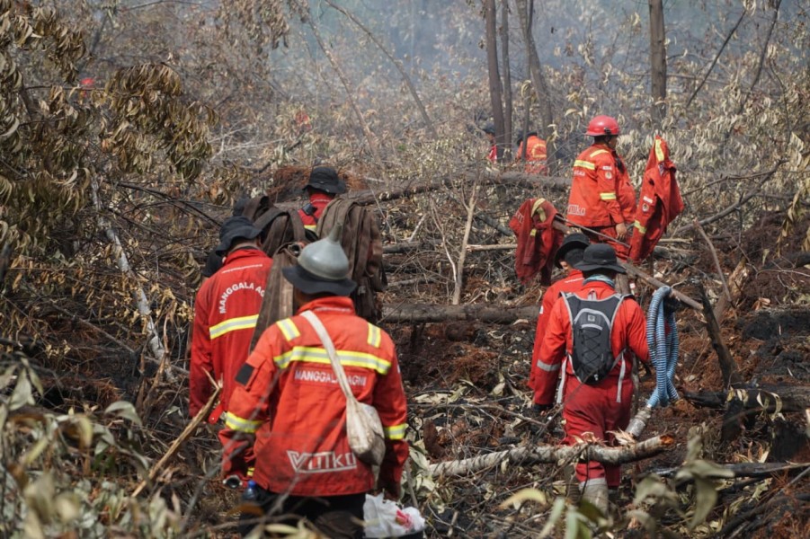Karhutla di Bengkalis Meluas hingga 108 Hektare, Dua Titik Prioritas Berhasil Dikendalikan