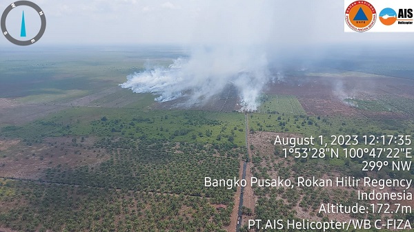 Api Masih Berkobar di Wilayah Rohil dan Dumai Riau, Polisi Masih Selidiki Penyebab Karhutla