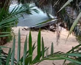Dilanda Banjir, Satu Unit Rumah di Inhu Hanyut Diseret Arus