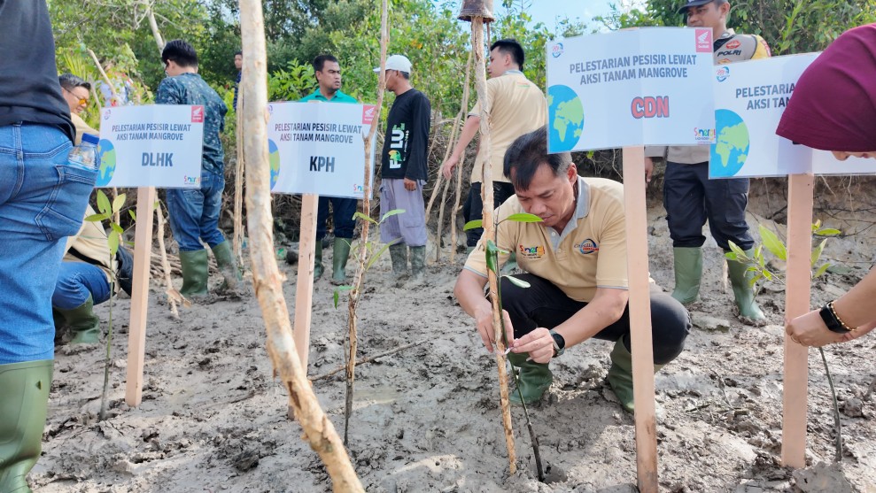 Capella Honda Tanam 1500 Batang Mangrove di Pelabuhan Dumai Bentuk Sinergi Bagi Negeri