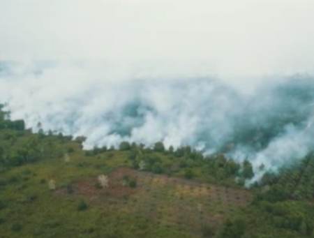 Menelusuri Jejak Karhutla di Riau, Pola Berulang dan Sulitnya Memutus Mata Rantai